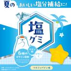 塩グミ　ソルティパイン味 / 塩グミ