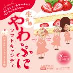 [20 шт. комплект ].... мягкие конфеты клубника. торт с фруктовой начинкой тест /.... мягкие конфеты клубника торт с фруктовой начинкой молоко сладости сладости soft 