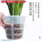 胡蝶蘭 植木鉢 10鉢セット 透明 穴付き 屋内 屋外 胡蝶蘭の植え替え 鉢 プラスチック 蘭の鉢 オーキッドポット 観葉植物 植木鉢 多肉植物 洋蘭