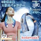 ネッククーラー 首掛け 扇風機 首掛けファン 羽なし 軽量 強力 冷感 USB充電 大容量5000mAh 5段階風量 360°冷却プレート 18℃ 最大18時間動作 最強 熱中症対策