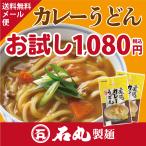 HP-9半生煮込カレーうどんお試しセット メール便送料無料 ポイント消化 讃岐うどん 半生 香川 石丸製麺公式