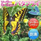 ソーラーモーション　バタフライ　 ソーラー　蝶