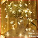 LED電飾 クリスマス イルミネーションライト 装飾ライト 3m スノーフレーク 20個 クリスマスツリー 雪 装飾 乾電池式 オーナメント 飾り