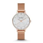 国内正規品 SKAGEN スカーゲン 腕時計 女性用 レディース ANITA アニタ SKW2151