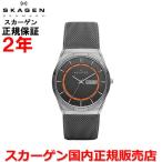 スカーゲン SKAGEN 腕時計 男性用 メンズ メルビーチタニウム MELBYE TITANIUM SKW6007 国内正規品