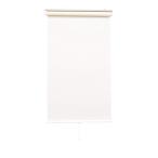 [ немедленная отправка ]to-so- roll screen простой слоновая кость 130X200 springs тип 30005509* Hokkaido Okinawa отправка не возможно 