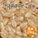 ショッピング玄米 米 お米 玄米 20kg ふさこがね 令和5年産 本州四国 送料無料 紙袋 綺麗仕上 異物除去 石抜き済