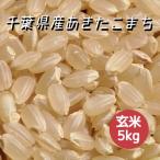 米 お米 玄米 5kg あき