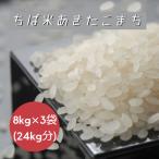 数量限定 令和7年産 ちば米 あきたこまち 白米 8kg ×3袋 (24kg) 本州四国 送料無料 米 お米 業務用 大家族用 食費 節約 秋田小町 爆買
