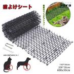  защита от кошек сиденье защита от кошек меры 30cm×4m 30cm×2m защита от кошек togetoge roll большой защита от кошек меры коврик птица .. товары кошка исключая . двор цветок . меры togetoge сиденье 