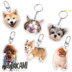写真 キーホルダー 犬 アクリル 記念品 猫 犬 ハムスター メモリアルグッズ ペットグッズ 犬用品 オーナーズグッズ オーダーメイド オリジナルキーホルダー