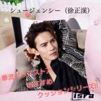 中国俳優シュージェンシー（徐正溪）のプリントクッション！