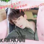 中国俳優ウーレイ（呉磊)のプリントクッション！