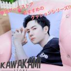 中国俳優ワンイーボー(王一博)のプリントクッション！