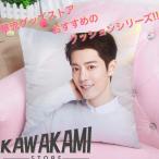 中国俳優シャオジャン(肖戦)のプリントクッション！