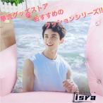 中国俳優ウーレイ（呉磊)のプリントクッション！