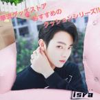 中国俳優シューカイ(許凱)のプリントクッション！