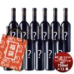 アウトレット ワイン 福袋 セット 720ml 〜 750ml×12本 訳あり