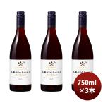 赤ワイン シャトー・メルシャン 山梨マスカット・ベリーA 750ml 3本 日本ワイン 山梨 お酒 お酒 のし・ギフト対応不可