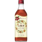 リキュール サンザシ酒 キリン 500ml 1本 ギフト 父親 誕生日 プレゼント 新生活 入学祝い 卒業祝い 就職祝い 進学祝い