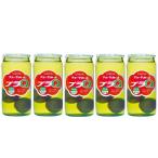 チョーヤ 梅酒 プラQ 160ml 5本 ギフト 父親 誕生日 プレゼント 新生活 入学祝い 卒業祝い 就職祝い 進学祝い