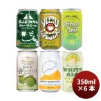 厳選 フルーツビール セット 人気ブ