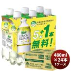 ショッピング炭酸 キリン メッツ プラス レモンスカッシュ 炭酸飲料 ペットボトル 24本 480ml 1ケース