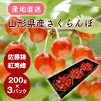  прямая поставка от производителя вишня D Sato . примерно 200g × 3 упаковка Yamagata префектура производство. .* подарок соответствует не возможно 
