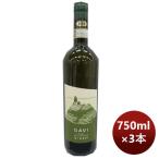 白ワイン イタリア ステファノ・マッソーネ ガヴィ・デル コムーネ・ディ・ガヴィ 750ml 3本 のし・ギフト・サンプル各種対応不可