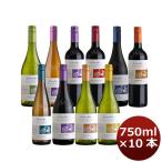 【5/25は逸酒創伝の日！5%OFFクーポン有】コノスル ヴァラエタル 10本 飲み比べセット 750ml × 10本