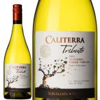Yahoo! Yahoo!ショッピング(ヤフー ショッピング)チリ カリテラ トリビュート シャルドネ 750ml×1本 ギフト 父親 誕生日 プレゼント