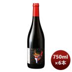 フランス 赤ワイン コート デュ ローヌ ルージュ ル プティ アンデゾン 750ml 6本 のし・ギフト・サンプル各種対応不可