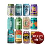 ショッピング創 逸酒創伝オリジナル  海外クラフトビール 12種 12本 缶ビール 飲み比べ アソートセット
