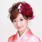 髪飾り 成人式 販売品 お花 赤 ラメ パール ヘアーアクセサリー コーム 髪型 ヘアースタイル 着物 はかま 結婚式 髪飾り-b23
