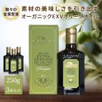オリーブオイル エキストラバージン BIOオーガニック ラウデミオ 250ml 3本セット イタリア トスカーナ州産 ファットリア ディ マイアーノ 2024金賞 送料無料