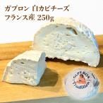 チーズ ガプロン Gaperon 白カビチーズ フランス産 25