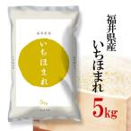精米 お米 5kg 福井県産 いちほまれ 令和5年産 ギフト 送料無料 内祝い  のし承ります 米 いちほまれ