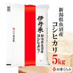 新米 魚沼産コシヒカ