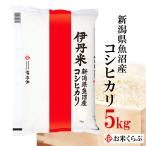 精米 魚沼産コシヒカリ 令和5年産 5kg 伊丹米 魚沼 こしひかり お米 送料無料 精米 コシヒカリ 魚沼産 ギフト プレゼント 内祝い 熨斗承ります