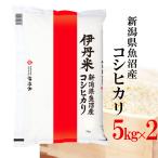 精米 新潟県魚沼産コシヒカリ 5kgX2袋 こしひかり お米 送料無料 令和5年産 伊丹米 白米 ギフト 内祝い 熨斗承ります