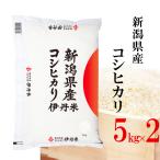 精米 新潟県産コシヒカリ  新潟コシヒカリ 5kgX2袋 こしひかり お米 送料無料 令和5年産 伊丹米 白米 内祝い 熨斗承ります