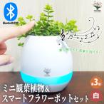 ショッピングスマートガーデニング ミニ観葉見計＆スマートフラワーポット ホワイト 育成グッズ /お買い得3個セット 見計らい アソート ランダム コンパクト 観葉植物 花壇 プランター