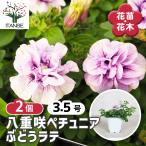 商品画像2