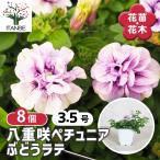 商品画像2