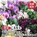 ITANSEうえたコレクションパン...