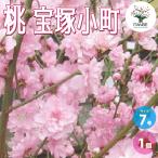 ショッピング宝塚 ITANSE 