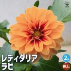 商品画像3