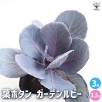 商品画像2