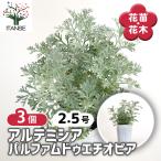 アルテミシアパルファムドゥエチオピ...