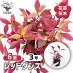 商品画像3